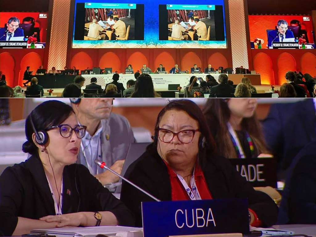 Declaran Patrimonio Cultural Inmaterial de la Humanidad los saberes de maestros cubanos del ron ligero