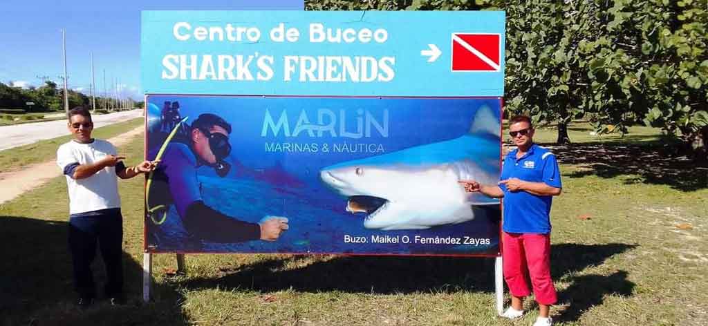 Espectáculo con tiburones, un atractivo turístico único en Cuba