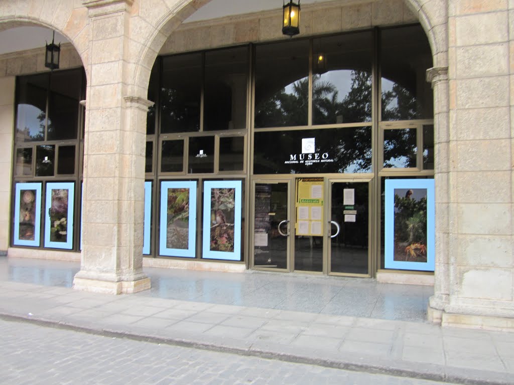 Museo Nacional de Historia Natural de Cuba convoca a talleres de verano