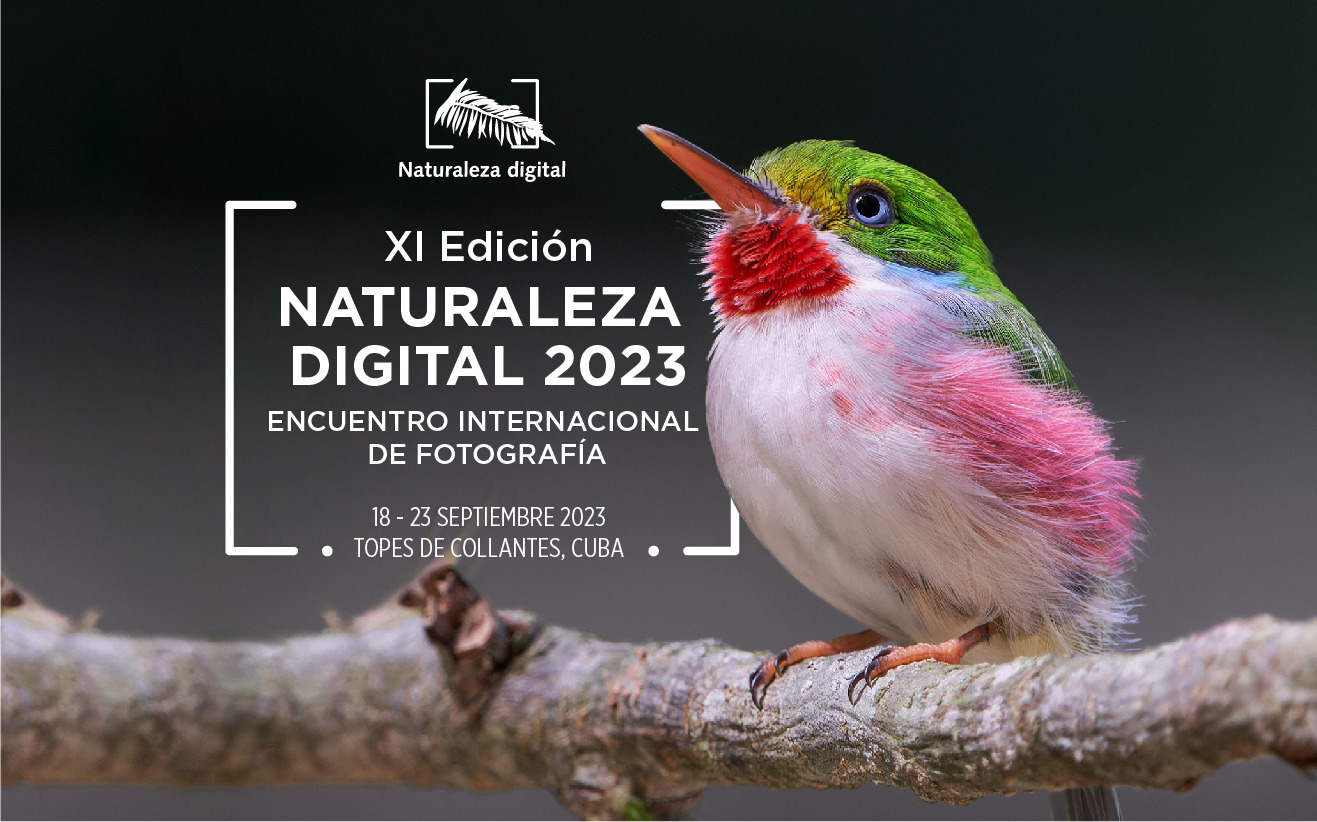 Grupo de Turismo Gaviota convoca a Concurso Internacional de Fotografía Naturaleza Digital 2023
