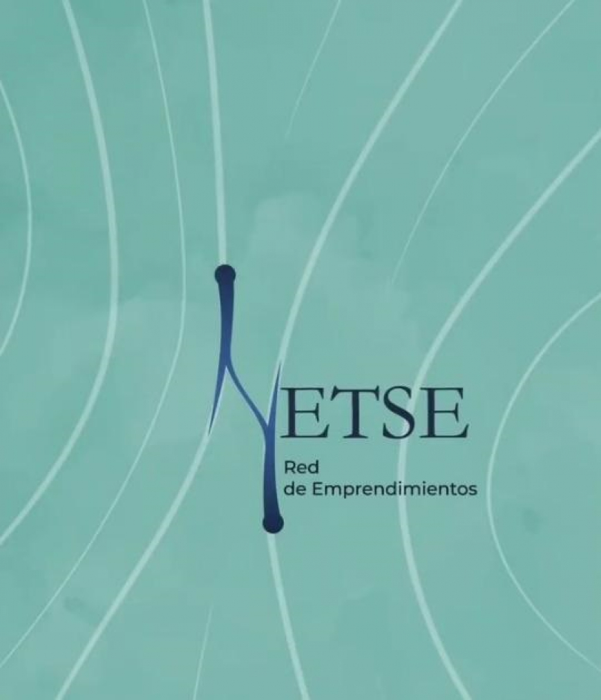 NETSE