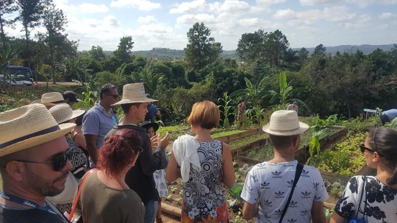 Festival de Tradiciones de Viñales: por un turismo comunitario sostenible
