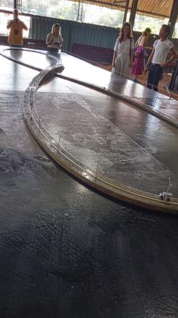 Taller Chullima: una propuesta sui géneris en la XII Bienal de La Habana