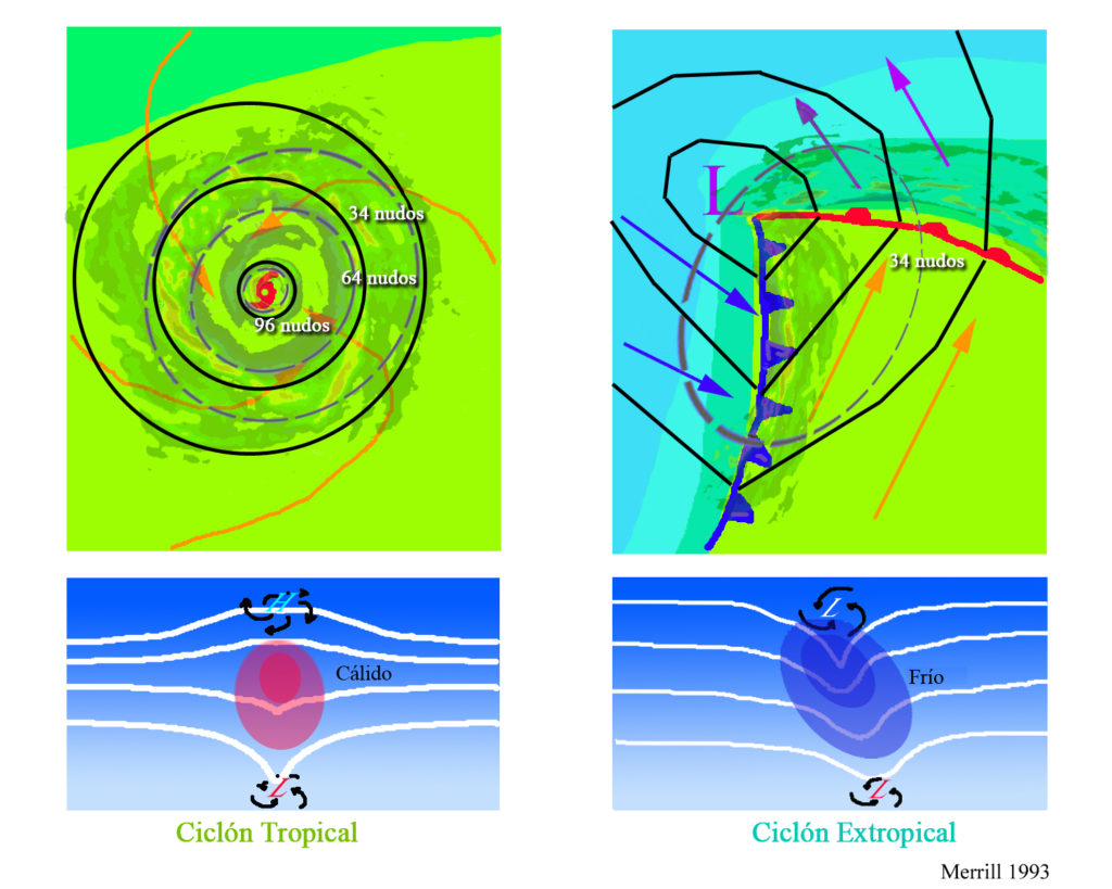Los esquemas superiores muestran mapas horizontales de la temperatura de la superficie, la presión y los campos de viento asociados a un ciclón tropical (izquierda) y un ciclón extratropical (derecha). Los colores indican la temperatura (azul 15°C, verde azul 20°C, verde 25°C. Las líneas discontinuas indican velocidades del viento de superficie: 34 kt=63 km/h, 64 kt=117 km/h, y 96 kt=174 km/h. Líneas continuas son las isobaras. El esquema inferior muestra los mapas de las superficies verticales de presión, anomalías de la temperatura y la circulación en la superficie y la tropopausa.