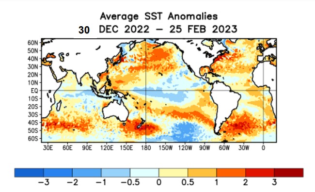 Promedio de las Anomalías de la Temperatura Superficial Media del Mar desde el 30 de diciembre pasado al 25 de febrero. Obsérvese las áreas rojas que van cubriendo la zona oriental del Pacífico Ecuatorial, aunque aún se ven las áreas azules correspondiente a temperaturas más frías que lo normal