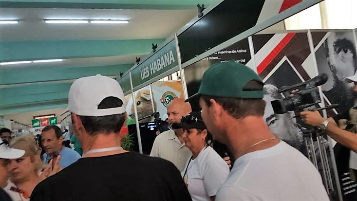 Gerardo Hernández: Se trabaja fuerte por sustituir importaciones