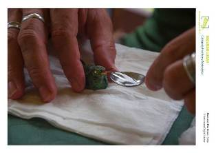 Grupo Gaviota clausura Naturaleza digital 2014