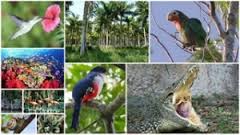 La biodiversidad y los servicios  turísticos