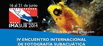 Concluye encuentro de fotografía subacuática Imasub 2014