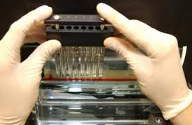 Cuba toma medidas ante virus del ébola