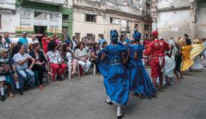 Quisicuaba retoño en las raíces