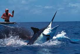 65 Torneo Hemingway: El encanto de pescar en Cuba