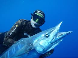 Convocan a Torneo de Internacional de Pesca del Wahoo 2015 (+Programa y Premios)